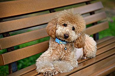 《星球大战：亡命之徒》媒体前瞻 玩法太像《神秘海域》